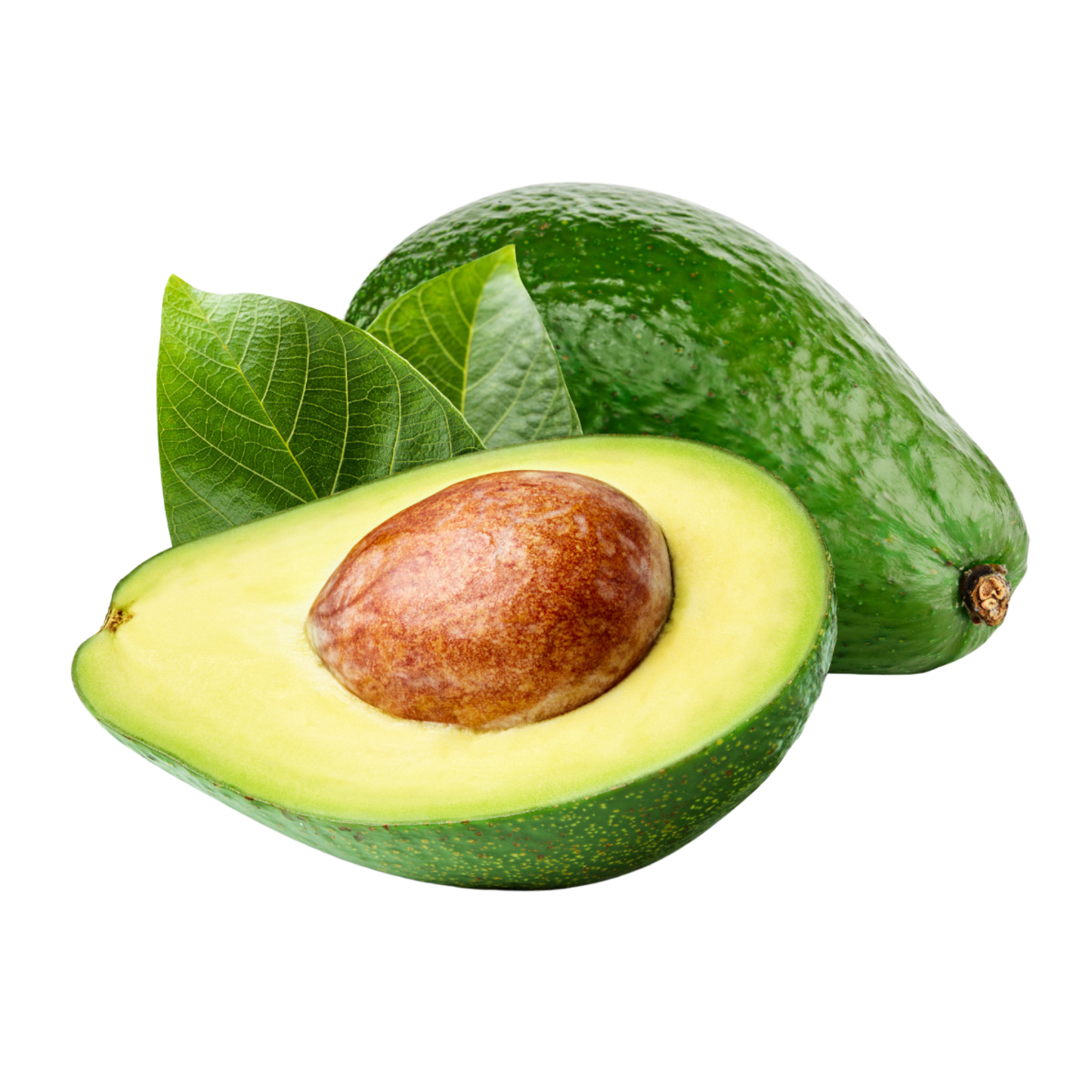 Avocat