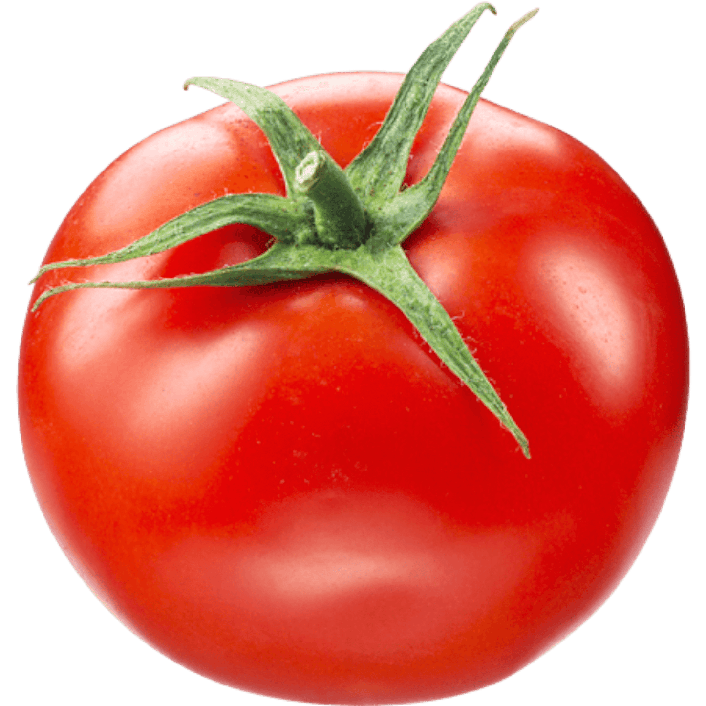 Tomate